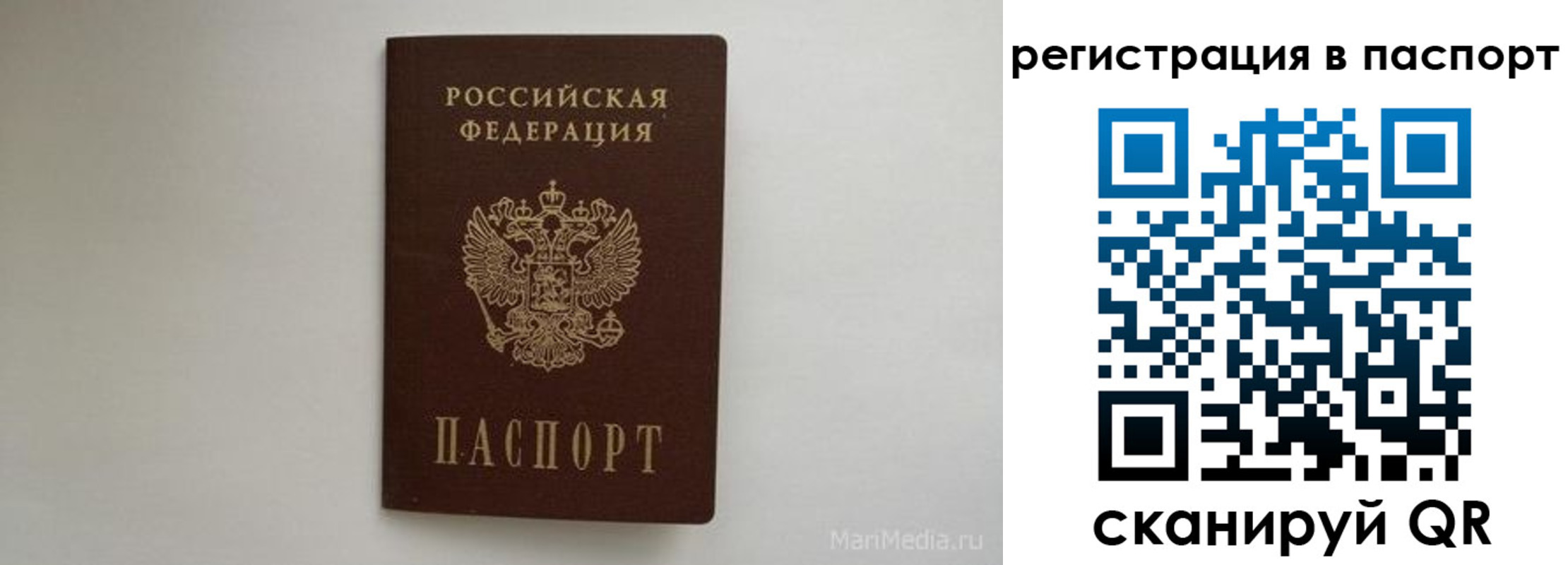 прописка в Нововоронеже